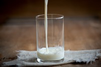 glass milk pezibear-1379822_1920